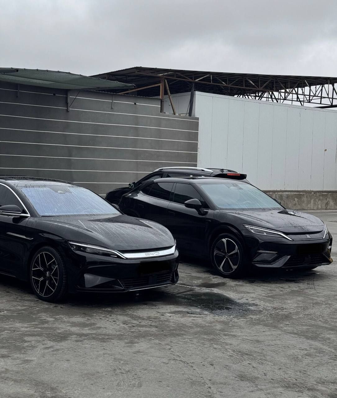 Rentcar rent car rent a car avto prokat kunlik ijara suxoy arenda 24/7