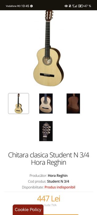 Chitara hora Reghin 3/4 student