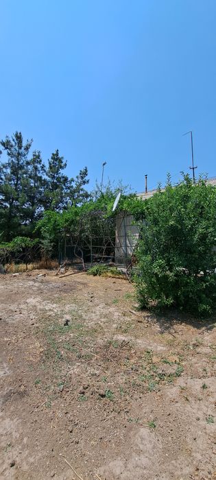 Дача Навбахор 6 соток Дом 3 комнаты Паркент Янгибазар Джумабазар