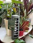 Hranitoare pasari / Bird feeder