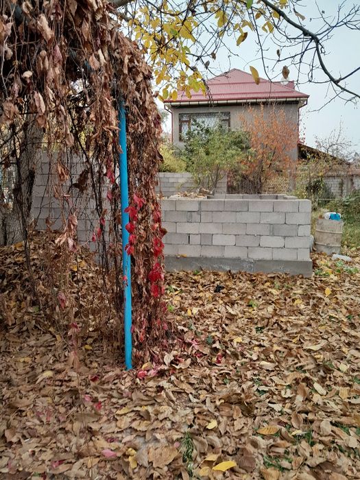 Ғазалкент  Корзинкадан 6км