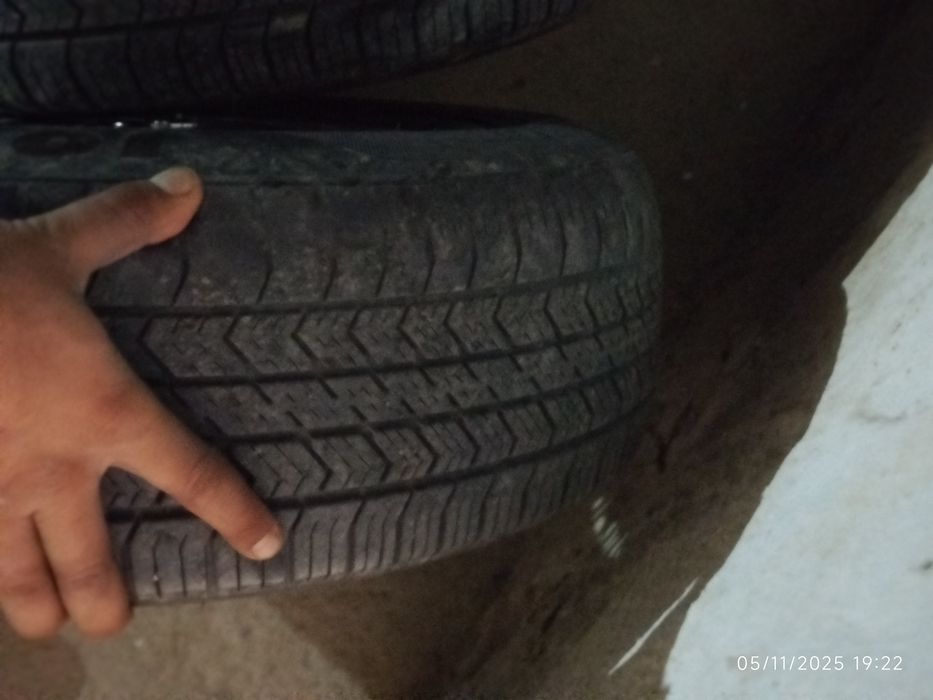 Elegant DISKA BALON sotiladi