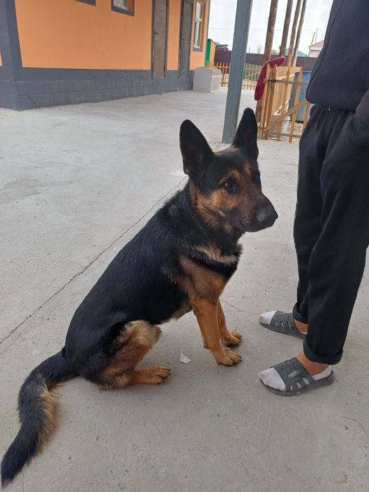 Маған хабарласыңыз түсирип берем