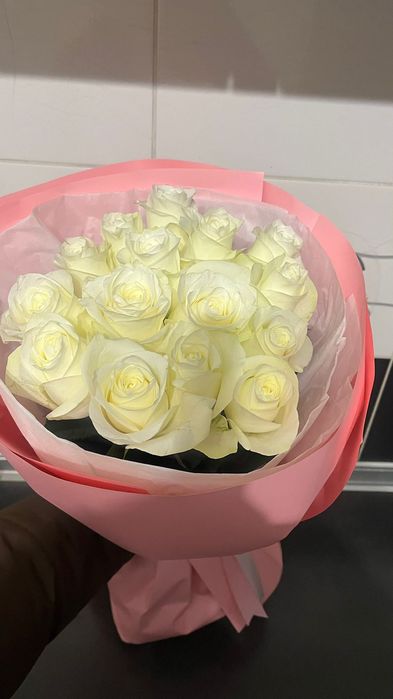 Продам цветы 15шт