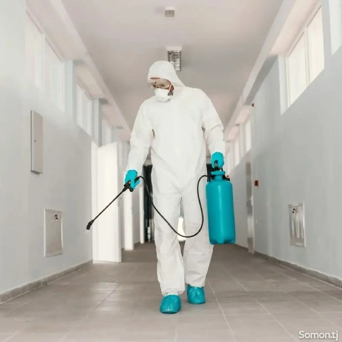 Cleaning servis уборка квартиры домов офисов и Дезинфекция квартиры