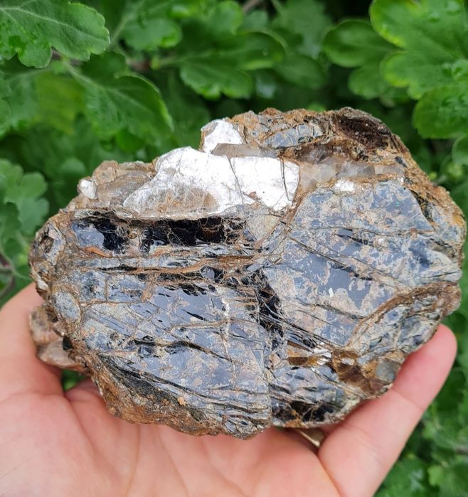 Mica biotit România