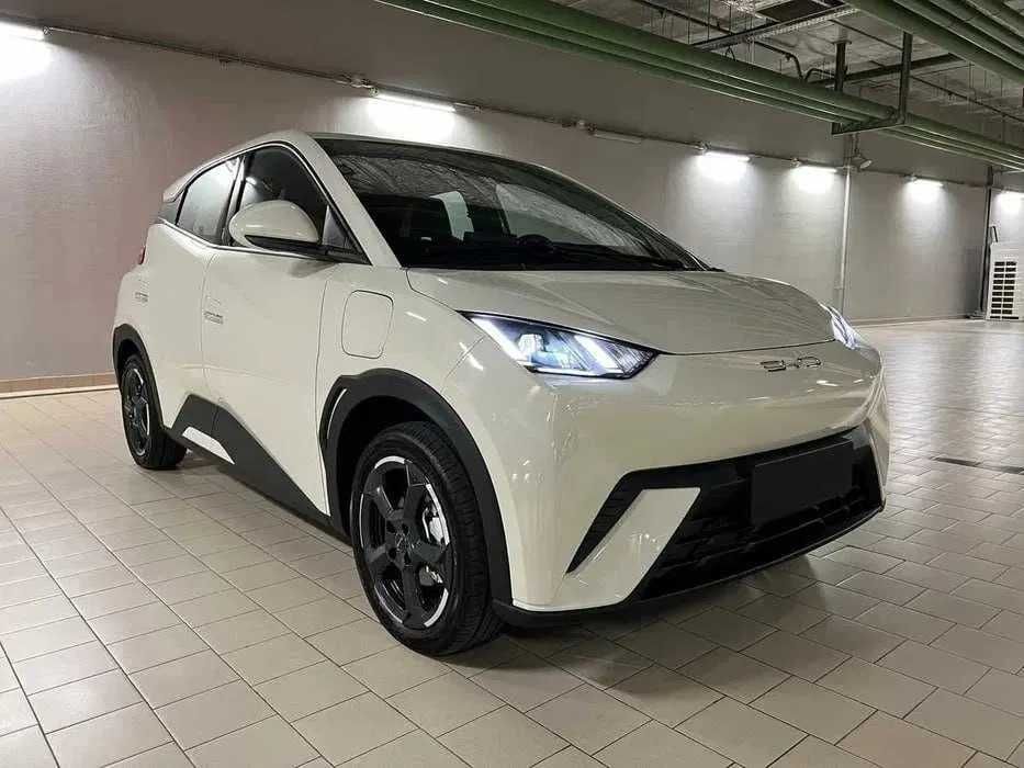 BYD Seagull Naqt va nasiya savdo asosida