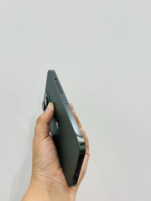 Iphone 13 pro max ideal