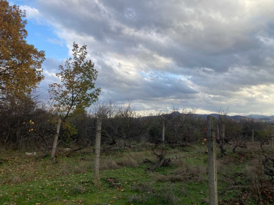 Продава се Парцел в Първомай - 2320 кв.м за 3 €/кв.м - Снимка #6