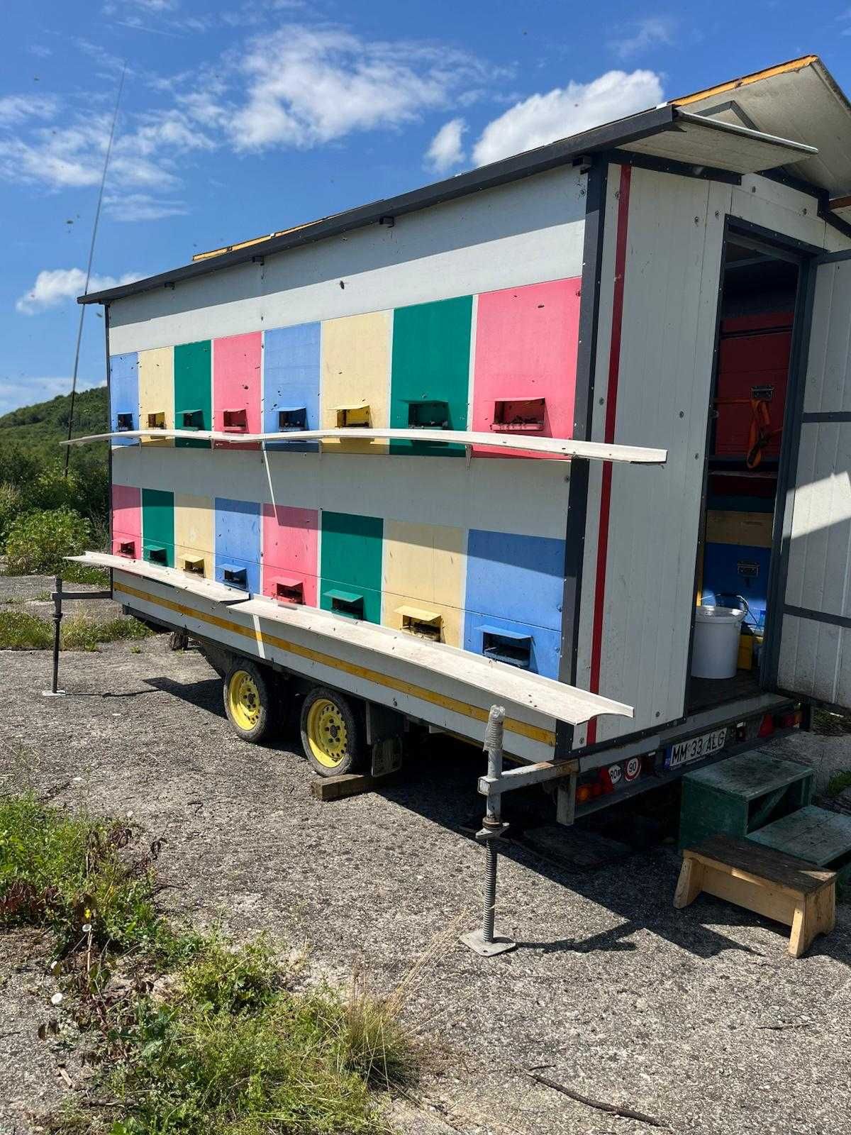 Vand pavilion apicol cu 32  familii albine