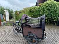 cargo bike / triciclu