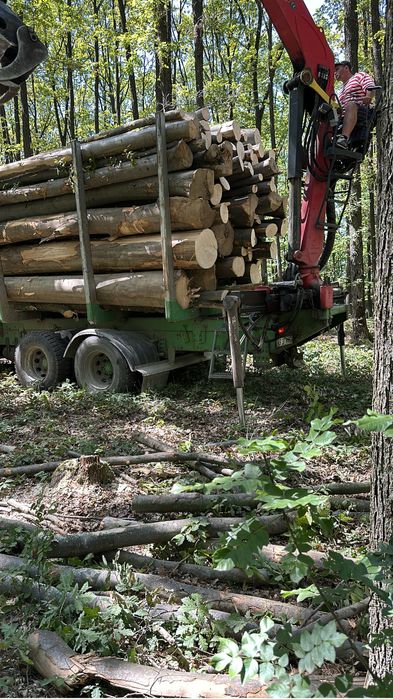 Lemn de foc FAG carpen STEJAR