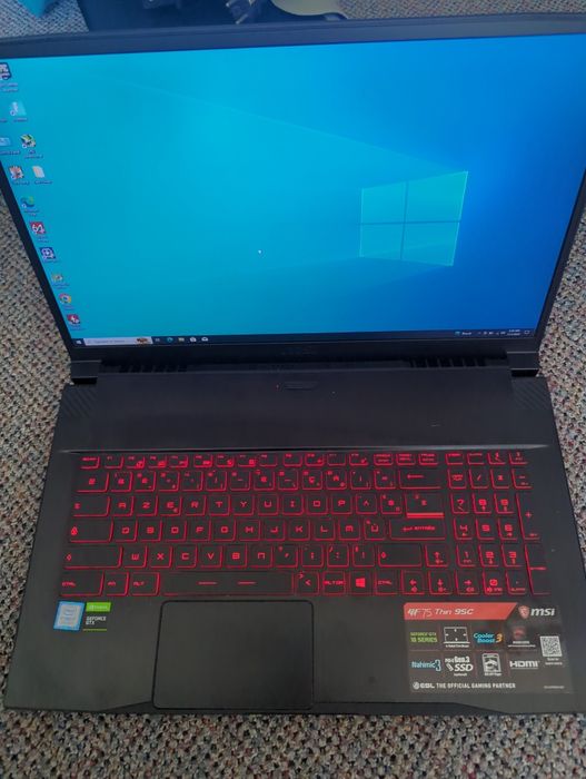 Display laptop Msi gf75 thin 9SC Ecran 17.3" 1920X1080 120hz