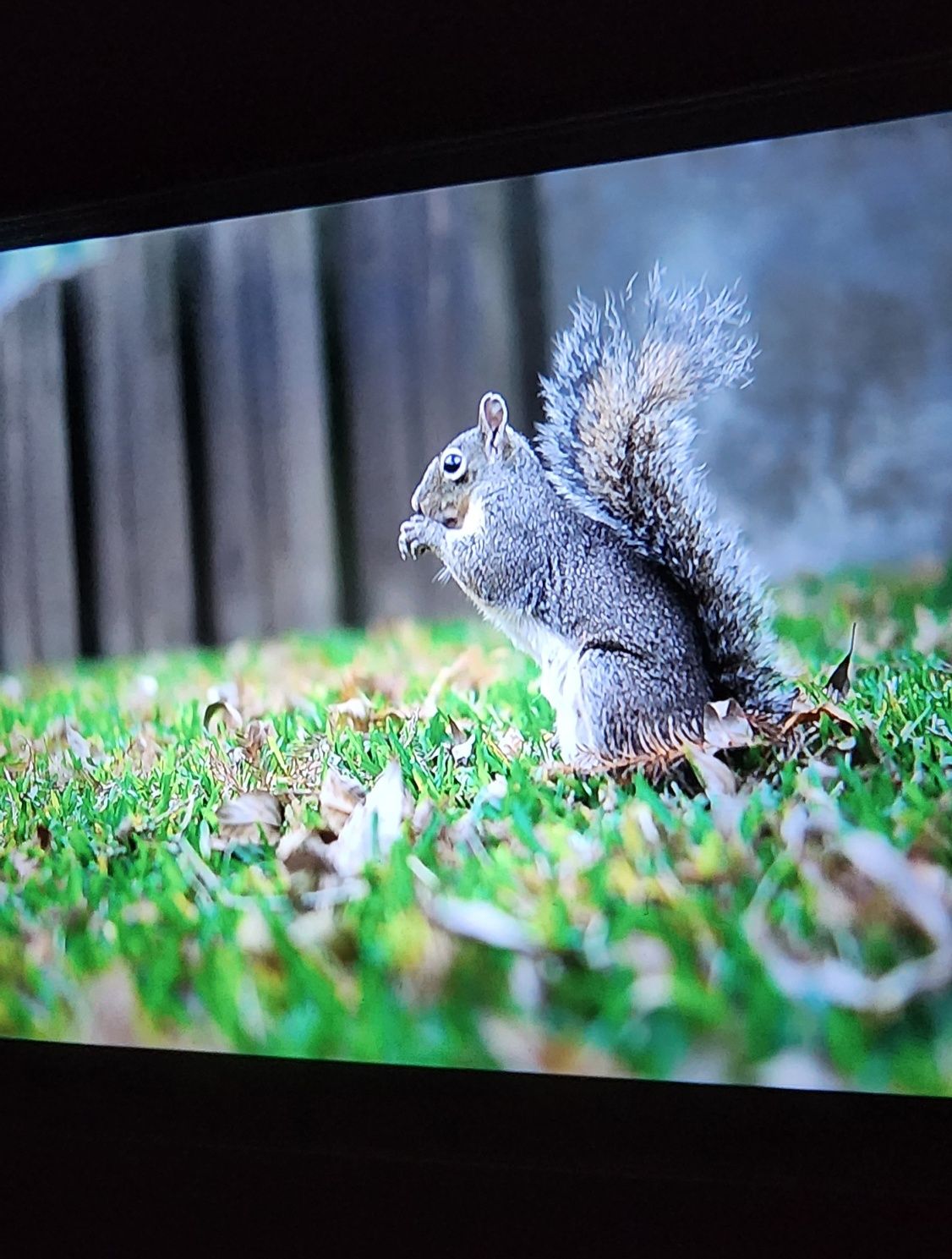 Proyektor Ultra HD 8K NeW 2024