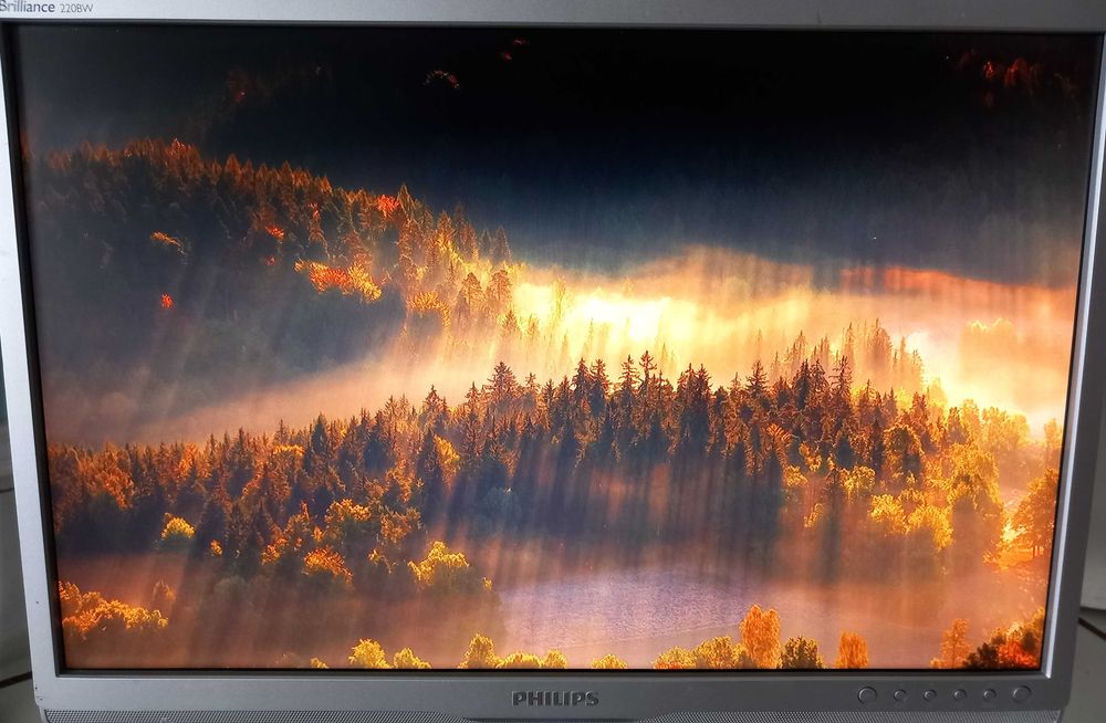 Монитор 22 инча Philips Brilliance 220BW