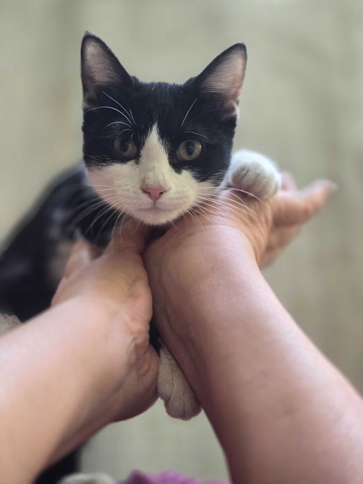 Малыш ищет семью!