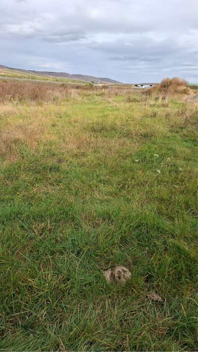 Teren intravilan Gilau, Braniste, 700 m2