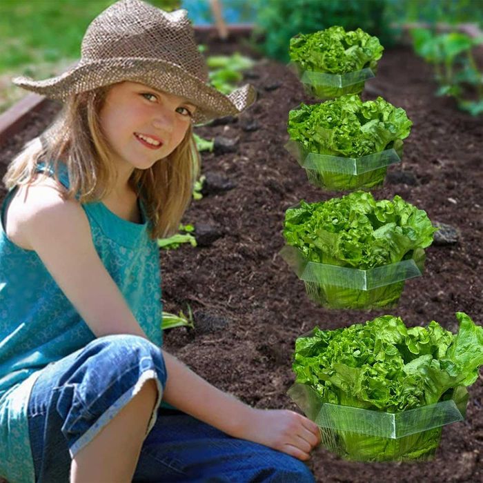 Sunshine smile Пакет от 20 защитни пластмасови нашийници срещу охлюви