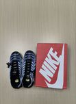 Nike air max tn