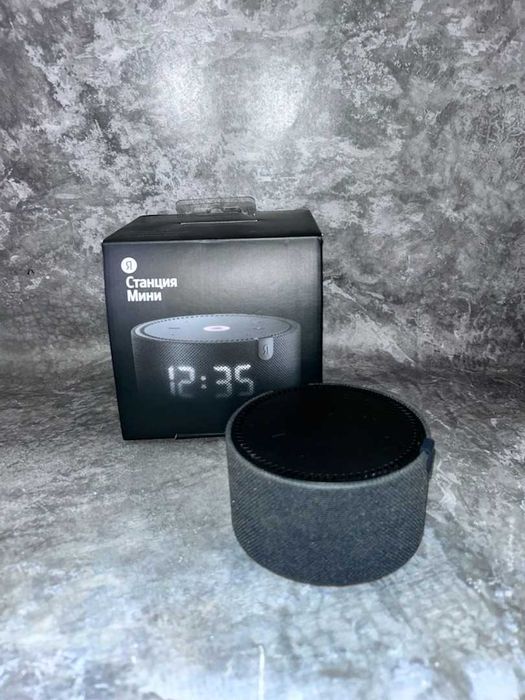 Яндекс станция Петропавловск МИРА 775280