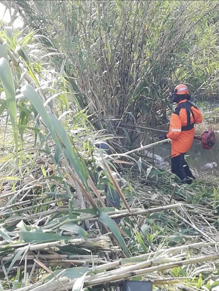 Defrisari terenuri lasate in paragina