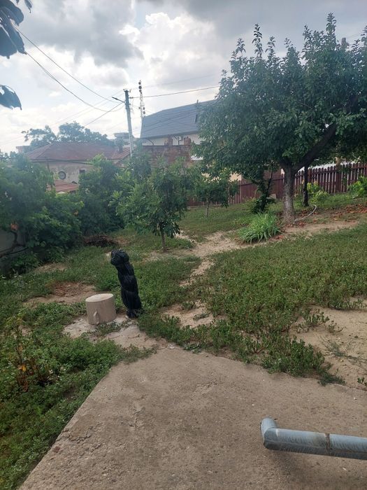 / Casă  Zonă  Centrală / Rm Sarat