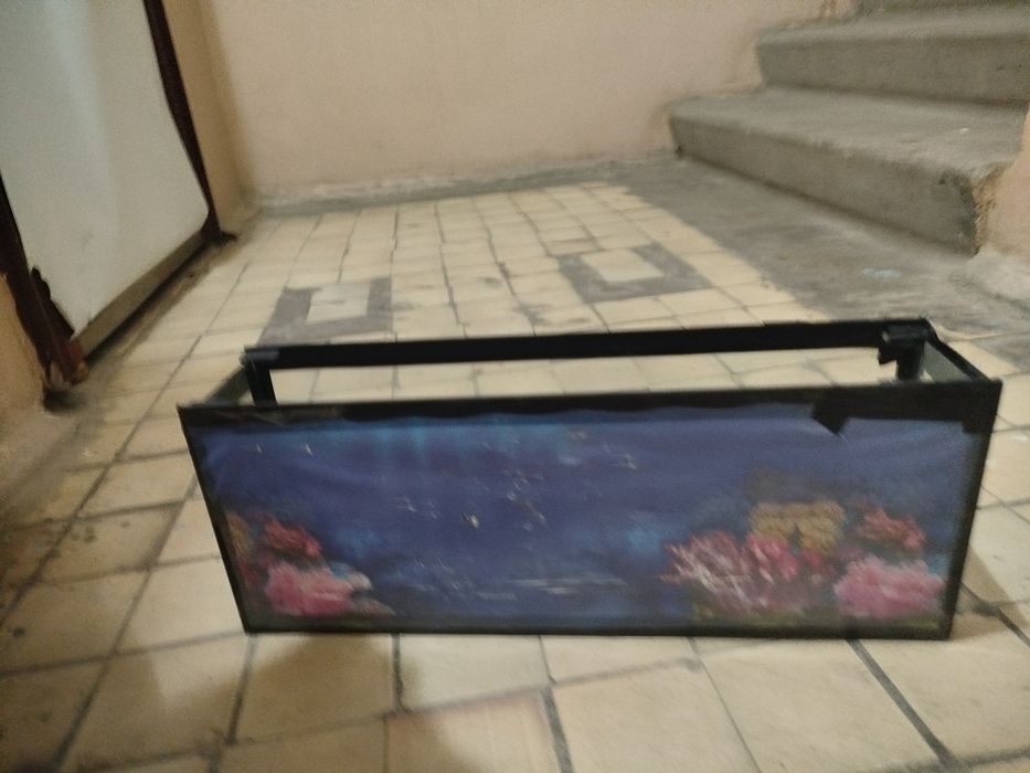 Аквариум для рыбак