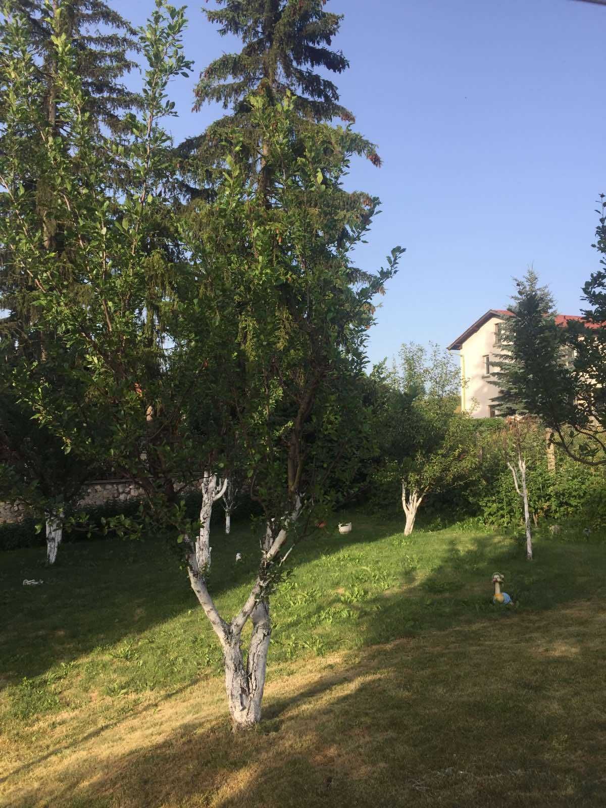 Продава Къща- с Говедарци, обл Самоков
