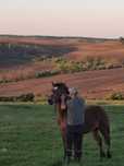 Mânz de vânzare sau la schimb cu o mânză și cu o vaca de lapte