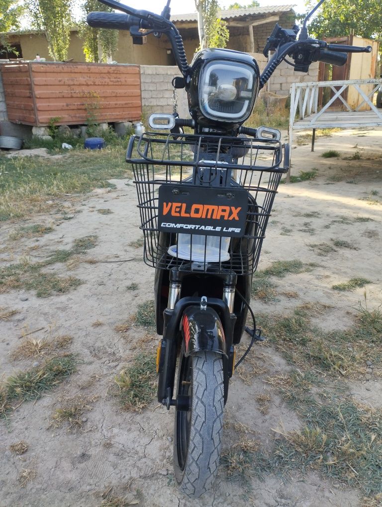 Eliktira velasaped