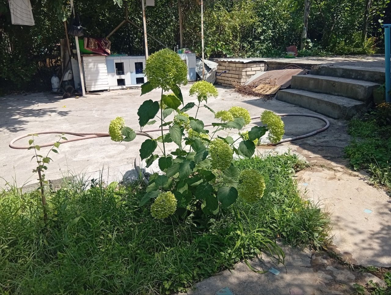 Продаётся дом в дачном посёлке с огородом и бассейном. Есть 2 скважины