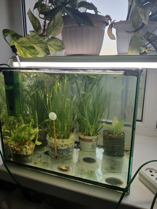 Аквриум в комплекте 40 л рыбки, растения и т.д