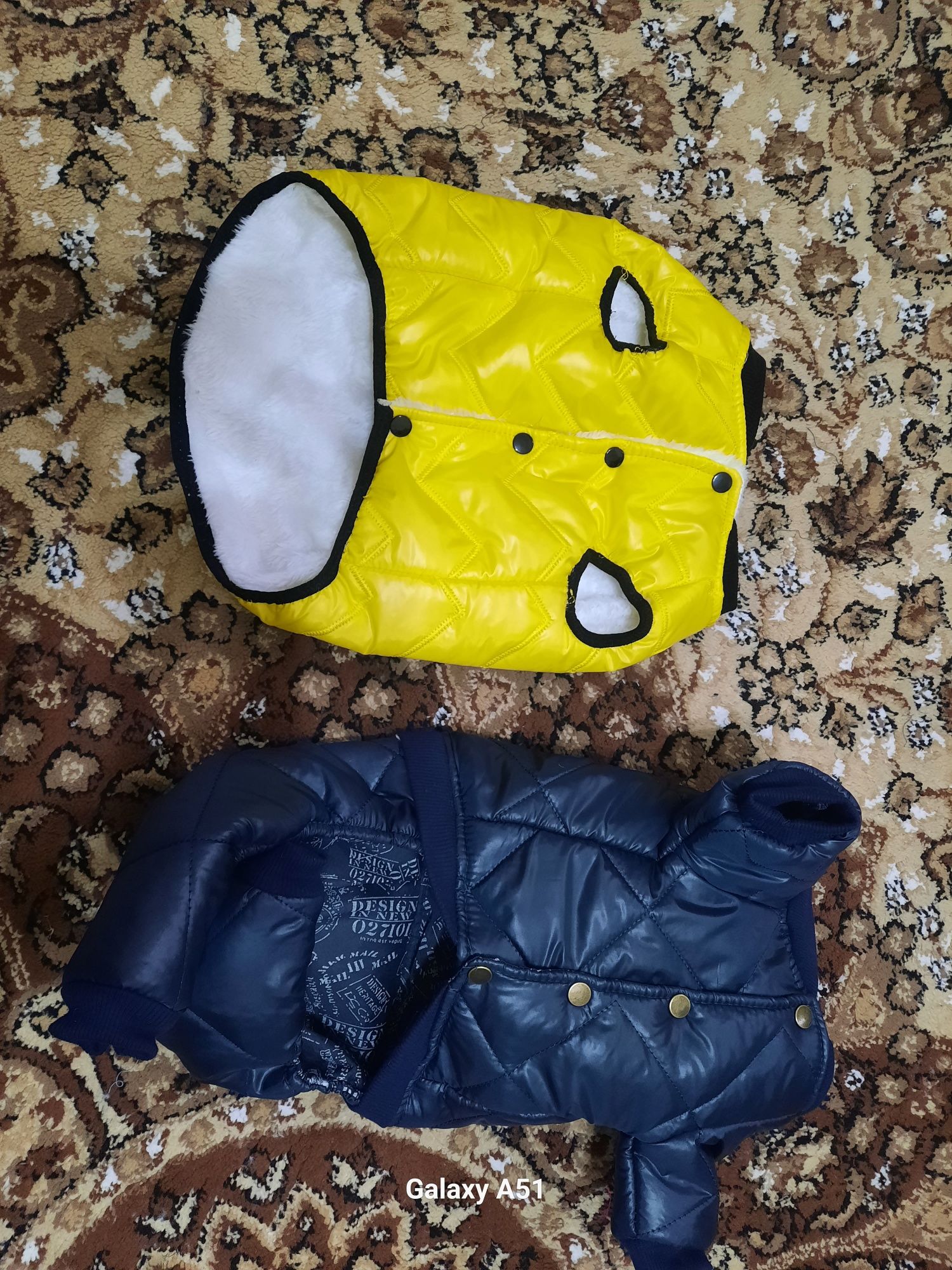 Сабаки и кошки одежда