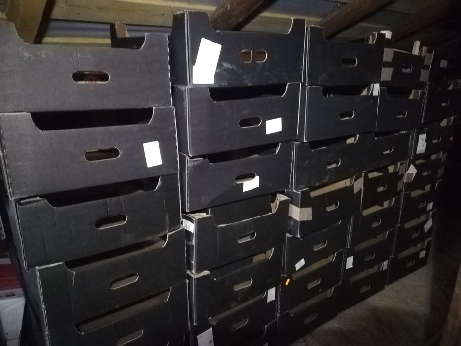 Cutii de cartoane pentru mere .