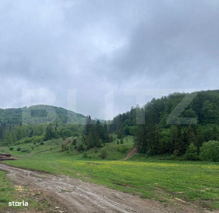 Teren intravilan 20.000 mp, zona Soarecului, Marginea