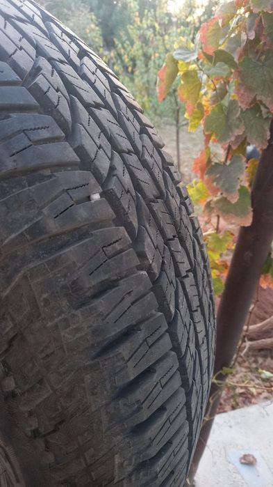 18 razmer balon sotiladi