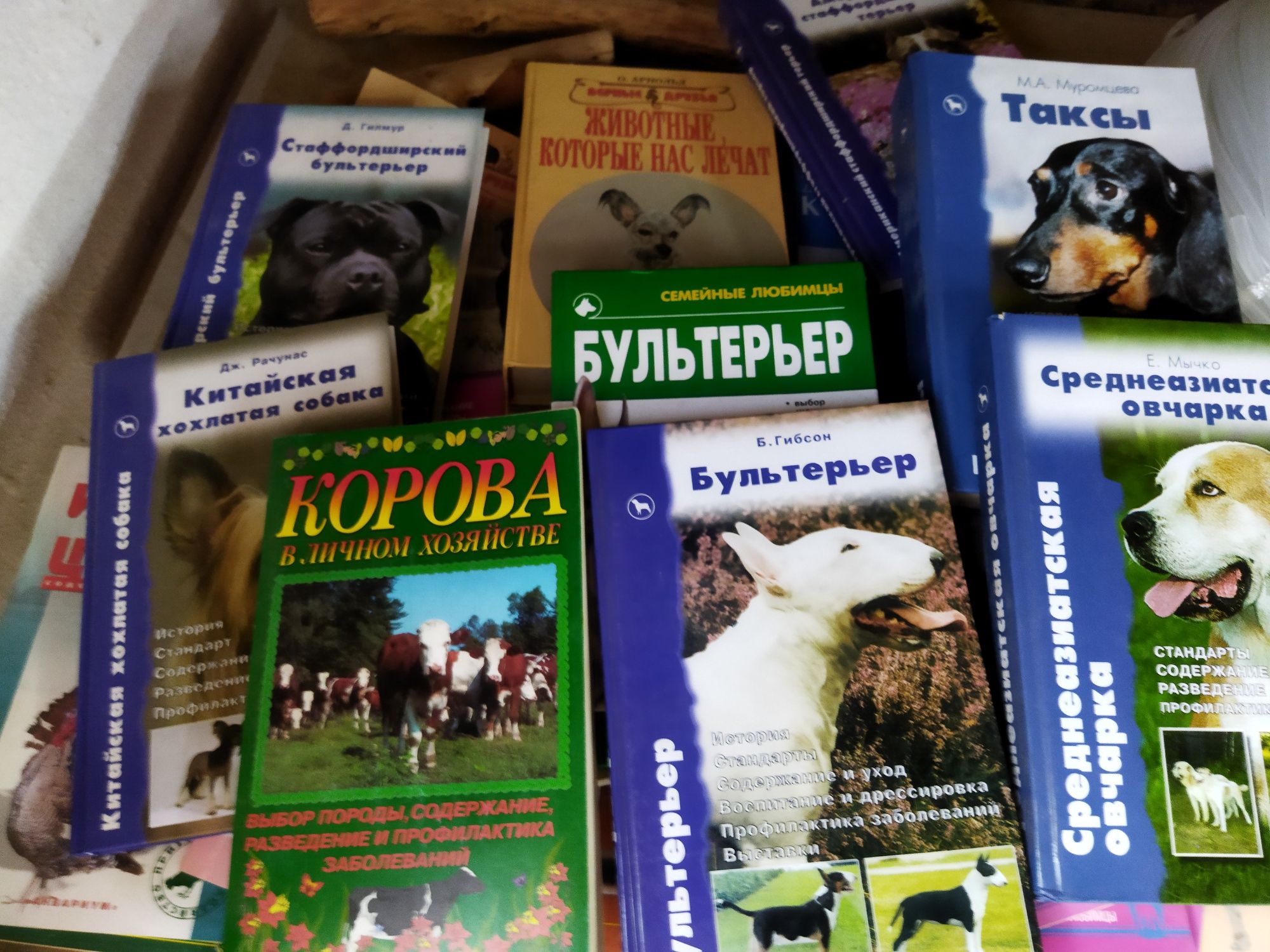 Книги о разных домашних животных
