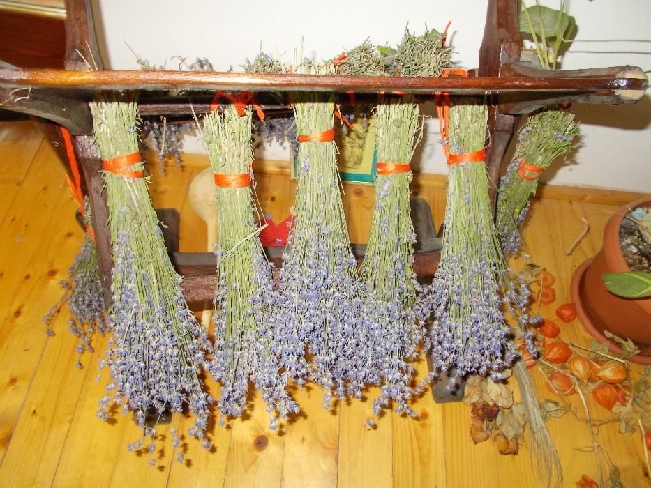 Lavanda proaspata si uscat