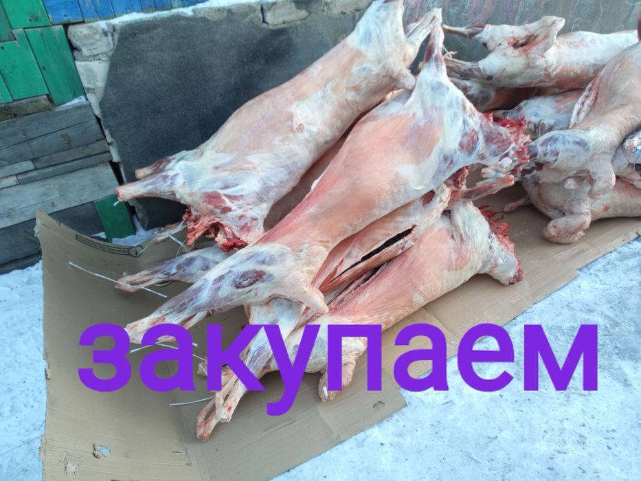 Барину жирную .!