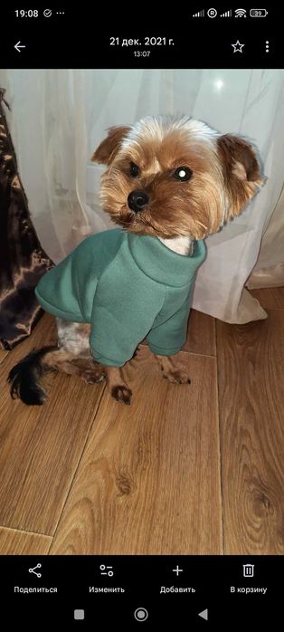 Ексклюзивна дрехи за малки кучета