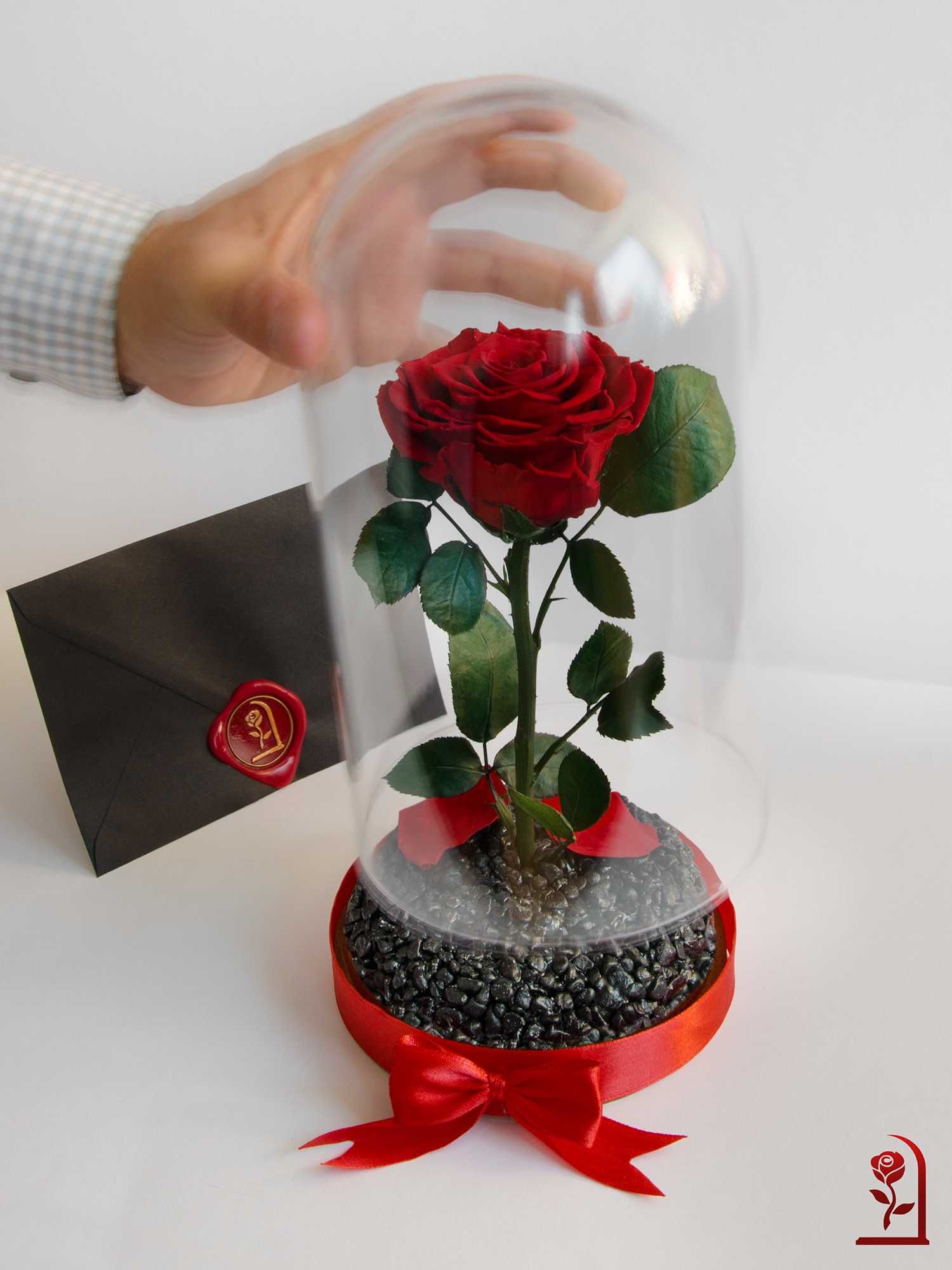 Естествена Вечна Роза в ГОЛЯМА Стъкленица / Интересен Подарък за Жена