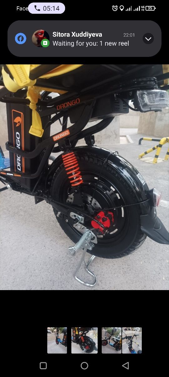 Monster Drongo ...