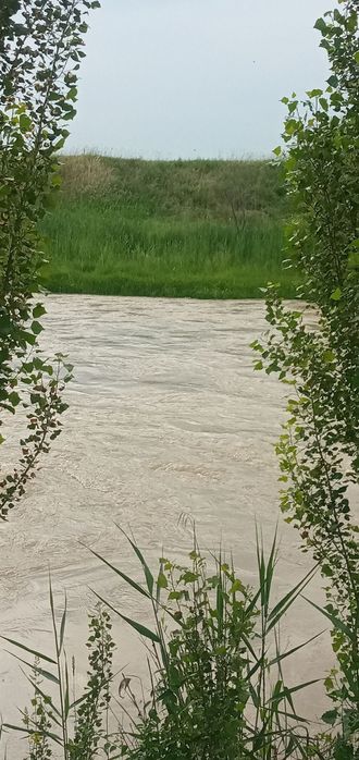 Уй сотилади.23 сотих