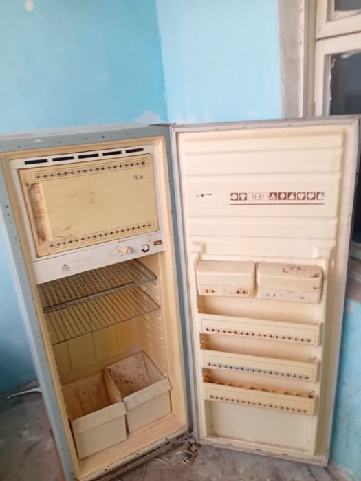 Muzlatkich.Nomi Sino