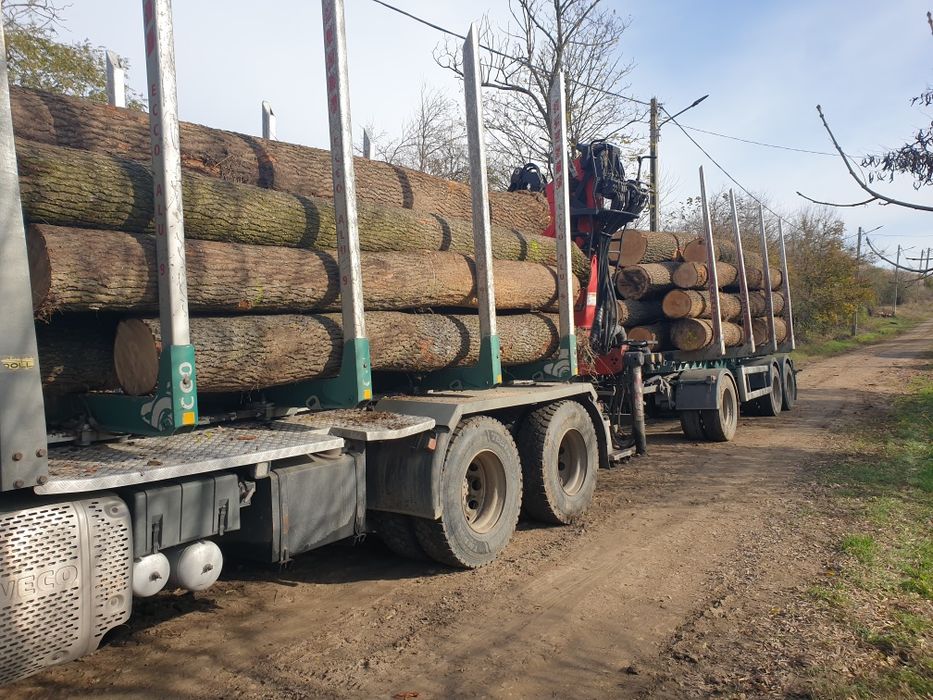 Lemn  de  foc stejar