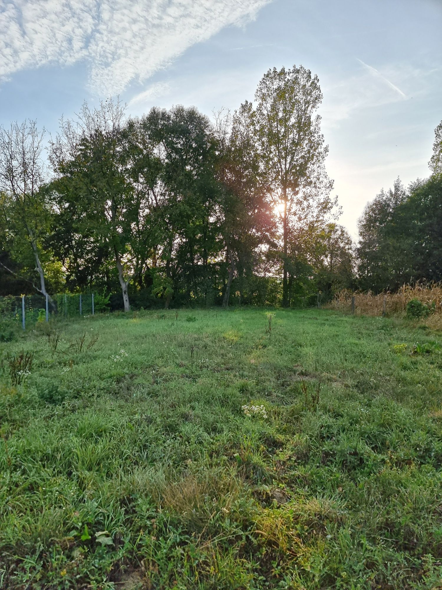 Casa de vânzare  în Bistra Bihor s-au schimb