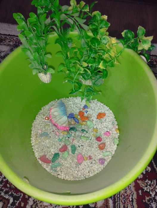 Akvariumni ichi uchun bezakli tosh