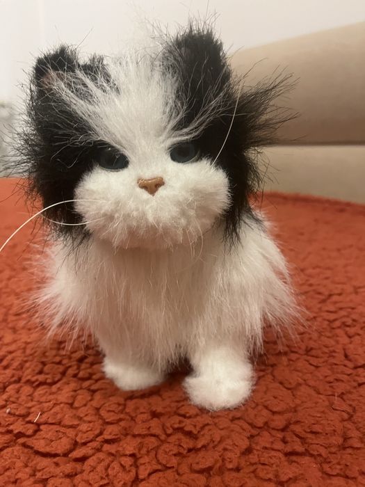 Интерактивно коте и куче