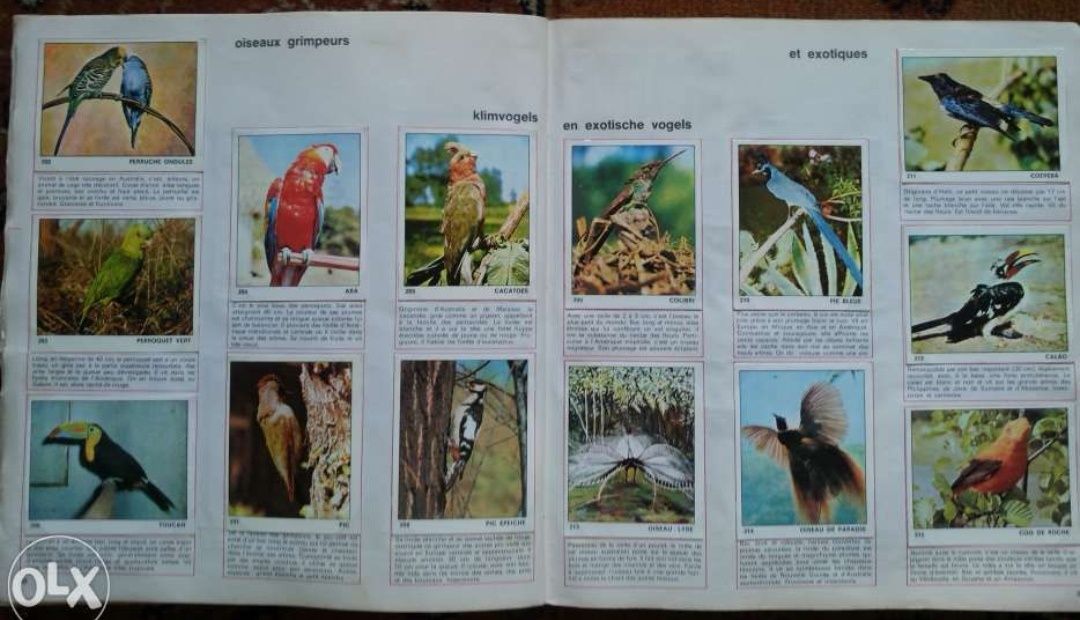 Panini set nelipit și Album Lumea Animalelor 1970 mamifere pasari 70