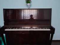 Pianina, Belarus model, mebelniy